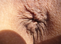 sexciass1