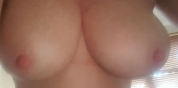 LaceyBloom
