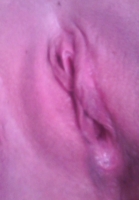 lovsex1