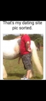 shortcake